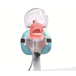 Modèle de tête dentaire simple Jg C8 avec mâchoire détachable pour la pratique de la préparation dentaire, équipement de formation - Product Image 6
