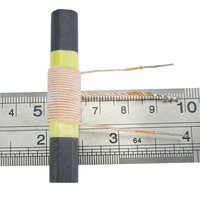 Bobine magnétique de haute précision avec noyau en ferrite, inducteur à enroulement personnalisé pour l'électronique industrielle, prix d'usine, OEM ODM