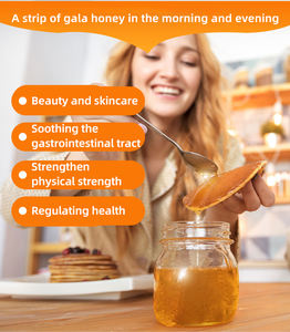 La miel de eucalipto de sauce rojo rica en nutrientes de alta gama de Australia, TA35 + adecuada para regalos a ancianos - Product Image 3