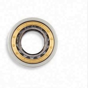 Roulement à rouleaux cylindriques <span class=keywords><strong>NU319</strong></span> E XL M1 F1 C4, roulements de transmission ferroviaire <span class=keywords><strong>NU319</strong></span>-E-XL-M1-F1-C4 - Product Image 6
