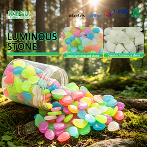 Piedra Luminosa para Jardín, Camino <span class=keywords><strong>de</strong></span> Paseo, Pista <span class=keywords><strong>de</strong></span> Correr Comunitaria, Decoración <span class=keywords><strong>de</strong></span> Paisajismo, Piedra Fluorescente - Product Image 6