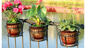 Macetas de valla de Metal colgantes de arte del <span class=keywords><strong>hierro</strong></span> con soporte sobre el riel para decoración de jardín al aire libre maceta cestas colgantes - Product Image 6