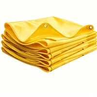 Bâche PVC Enduite Robuste 500GSM Multicolore 6x10M à Prix Abordable pour Tente de Camping Extérieure, Auvent, Couverture de Piscine, Matelas et Artisanat