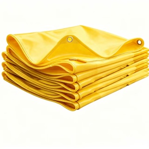 Bâche PVC Robuste Multicolore Transparente 500GSM 6x10M à Prix Abordable pour Tente de <span class=keywords><strong>Camping</strong></span> Extérieure, Auvent, Couverture de Patio et <span class=keywords><strong>Piscine</strong></span> - Product Image 1