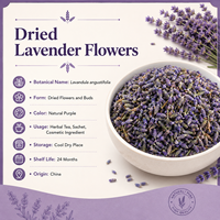 Fleurs de lavande séchées naturelles de qualité supérieure, bourgeons de lavande, thé aux feuilles de lotus, fleurs aromatiques, fournisseur en gros, qualité alimentaire, 24 mois