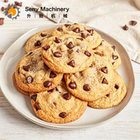 Machine à fabriquer des biscuits et des sandwichs au chocolat automatique multifonction SY-800 en acier inoxydable 304