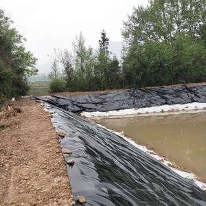 Geomembrana Hdpe para estanque de sal, Geomembrana impermeable de 1,5mm para acuicultura, gambas, estanque de peces, granjas, piscinas - Product Image 4