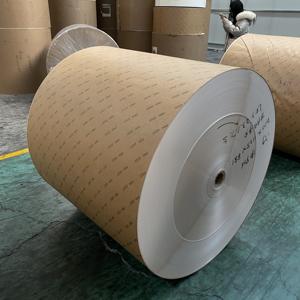 Rouleau de papier enduit de PE simple face 240 g/m², largeur 820 mm x 805 mm, pour gobelets en papier - Product Image 6