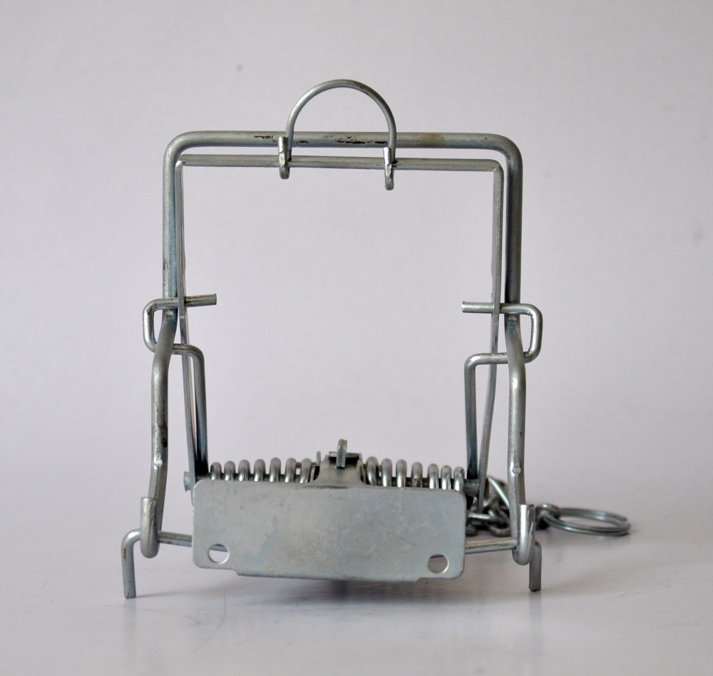 Silber