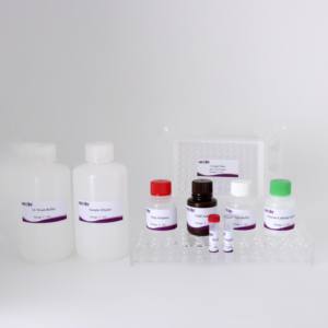 Kit de l'anticorps ELISA de <span class=keywords><strong>REV</strong></span> (96T) | CE certifié | Test de sérum aviaire | Commande en gros disponible - Product Image 5