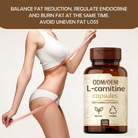 Complément Premium de L-Carnitine pour le Soutien Métabolique – Capsules Végétaliennes, Comprimés, Poudre, HCL Liposomal – Énergie et Performance Physique – OEM ODM
