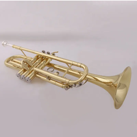 Trompeta de Latón con Acabado en Oro Laca, Clave de Bb, EARTHGRACE TR-300, para Principiantes