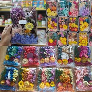 Fleurs séchées en vrac, fleurs artificielles réalistes pressées multi-styles pour emballage cadeau DIY, décorations pour la Journée de la Femme, vente en gros d'usine - Product Image 3