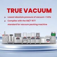 Mesin Vacuum Sealer Otomatis Satu Ruang DZ400 untuk Makanan, Industri, dan Komersial, Emballeuse Sous Vide Sur Table