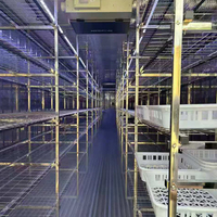 Ferme en conteneurs pour la culture de la laitue, des fraises et du fourrage, système d'éclairage LED à spectre complet, système hydroponique de culture d'orge