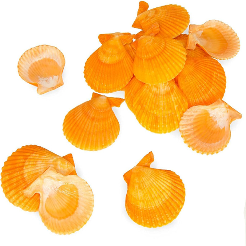 200g de pétoncles jaunes-25 pcs
