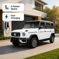 Fabricant chinois de mini-jeep électrique 4x4, petite voiture de tourisme écologique à émissions zéro pour les trajets de courte distance