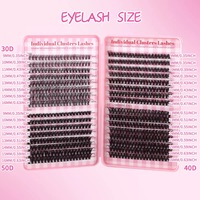 Vente chaude DIY Cluster Cils Livre Kit À La Main 30D 40D 50D 80D 100D Mixte Longueur D Curl Fans Cils Ensemble En Gros
