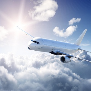 중국발 위험물품 일반화물 운송 보험(3x110%)을 포함한 FCL/LCL 서비스를 제공하는 전문 항공 특송 화물 운송업체 - Product Image 6