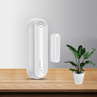 Nouvelle conception de capteur magnétique intelligent WiFi Tuya pour porte et fenêtre avec alarme