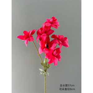 Fleurs artificielles Pingping à 6 têtes, en soie réaliste, pour décoration de mariage, accessoires de photographie extérieure, décoration intérieure - Product Image 4