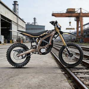 Surron <strong>High</strong> Performance <strong>Motor</strong> 21kw <strong>Ultra</strong> Bee Electric Off-Road Surron Motorcycle - Product Image 5