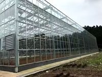 Serre intelligente multi-travées en polycarbonate avec système de fertigation, adaptée à la culture hydroponique commerciale