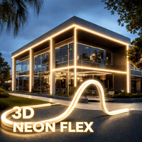 Éclairage de façade, néon flexible en silicone 3D, 1212 LED, 24V, IP67, CRI>90, tube néon LED architectural