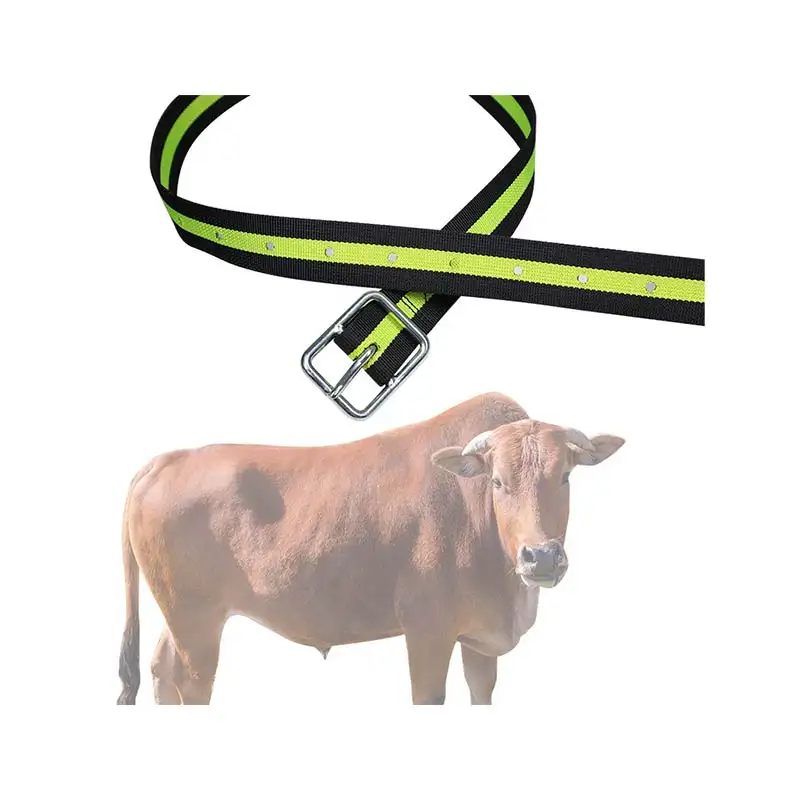 Soyal Animal Husbandry Equipment Horse Cattle Neck Collar Pet Dog Neck Collars