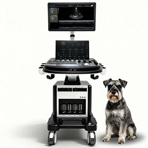 Máquina de Ultrasonido Portátil Veterinaria Dawei, <span class=keywords><strong>Precio</strong></span> de la Máquina de Ultrasonido para Animales - Product Image 1