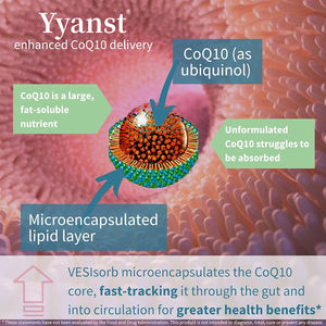 Capsules de CoQ10 de haute qualité pour la santé cardiaque et le soutien antioxydant - Product Image 3