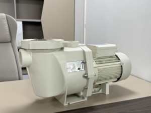 Pompe de filtration pour piscine haute pression style Pentair 1,5hp 2hp 3hp - Product Image 3