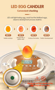 <span class=keywords><strong>2026</strong></span> नई आई आई आई नियंत्रक 26 चिकन क्विल तोते अंडे के इनक्यूबेटर की कीमत छोटे अंडे इनक्यूबेटर 30 अंडे - Product Image 6