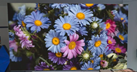 Mur vidéo LED COB d'intérieur P1.25mm avec fréquence de rafraîchissement de 3840Hz et surface lavable IP54 pour une performance visuelle supérieure