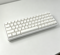 Keyboard Gaming Mini Portabel 68 Tombol Berkabel BT RGB Keyboard Gaming Mekanik untuk Tablet Laptop PC Komputer