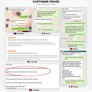 Colchón de Espuma Viscoelástica al por Mayor de China, Precio de Fábrica OEM/ODM, Colchón King Size con Cubierta Euro Top y Resortes Encapsulados - Product Image 5