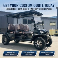 Voiturette de golf électrique tout-terrain homologuée pour la route, 4+2 places, coffre arrière, 60V, pour hôtels et complexes, OEM, faible MOQ, 35KM/H, 90km, châssis en acier, CE