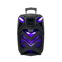 Sistema de Karaoke Inalámbrico 5.0 con Woofer de 12 Pulgadas, Micrófono Incorporado, Control Remoto, Luces LED RGB, Reproductor de Audio Portátil de 20 W, Altavoz para Exteriores 2