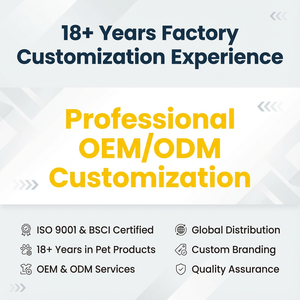 OEM/ODM Özel Logolu Plastik Ördek Banyo Oyuncağı - Rekabetçi Fiyatlarla 3D Tasarım ve Kalıp Yapımı Renk Değiştiren PVC Yarış Ördekleri - Product Image 6