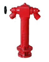 Hydrant de sol en acier au carbone rouge Wosen Ws fabriqué en Chine avec garantie de 2 ans et liste de prix à partir de 20 MOQ
