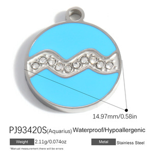 Breloques rondes personnalisées en gros avec logo, en acier inoxydable plaqué argent et émail, 12 signes du zodiaque, pour la fabrication de bijoux et bracelets DIY - Product Image 2