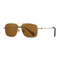 Lunettes de soleil haut de gamme en titane pur 20195 pour hommes, verres en verre minéral, revêtement anti-reflet AR, UV400, marque de luxe