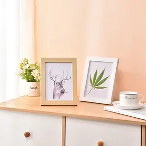 Multicolor Eco-friendly Home Wall Hanging Quality Assurance Custom White Black PP Picture Frames,Photo Albums Accessories