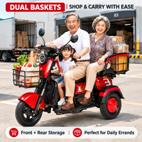 Tricycle électrique 3 places pour seniors, moteur 48V 600W/1000W, autonomie 31-60KM, cadre en acier haute teneur en carbone, pneus sous vide 300-8, trike électrique