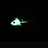 Leurre de pêche lumineux Raylor personnalisé 80g 120g 200g 250g, échantillon gratuit, pour la pêche au poisson-sabre, au poisson-épée, au tenya, jig, jighead, appât de pêche