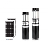 Pompe submersible solaire à impulsion CC 12V/24V/36V/48V/72V pour puits profond, haute pression, anti-corrosion, pour traitement des eaux usées