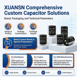 Condensateurs électrolytiques XUANSN de qualité supérieure 25V 4700UF 15000Uf 80V 1000Uf Mazda <span class=keywords><strong>Comar</strong></span> pour amplificateur audio et compteur intelligent - Product Image 5