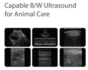 <span class=keywords><strong>SonoScape</strong></span> E1V Ysenmed ultrasonido veterinario portátil gato perro ultrasonido escáner con sonda Rectal/convexa/lineal - Product Image 5