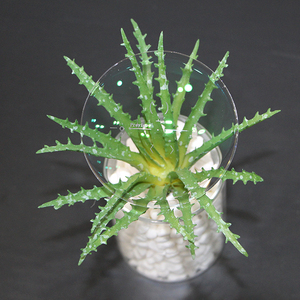 Trung Quốc Bán Buôn Giá 1.56 Progressive Xem Trước 9 + 4 Ống Kính Quang UC/HC/HMC - Product Image 3