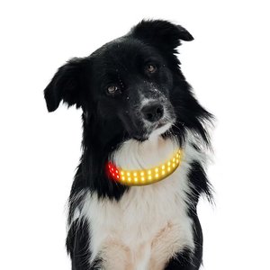 Collare a LED per Animali Domestici con Controllo via App Stile Classico Ricaricabile in Morbido Poliestere con Fibbia ad Ardiglione Evidenziata per Cani e Gatti - Product Image 6